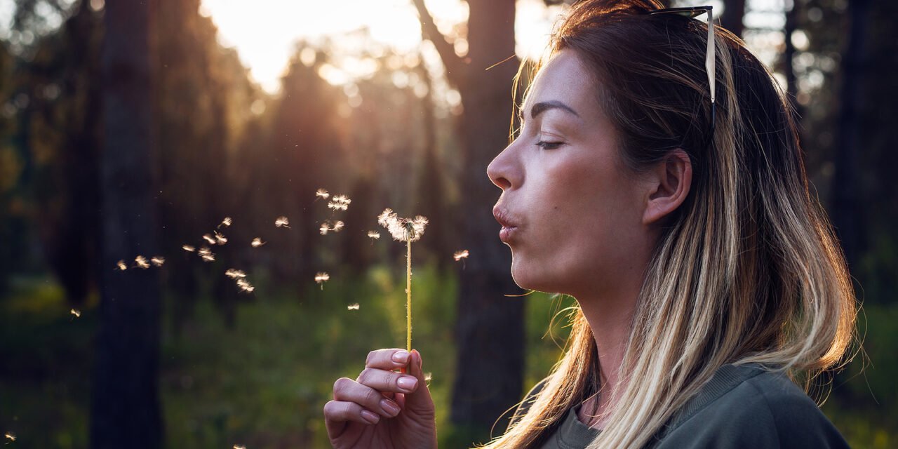 Wat is mindfullness?