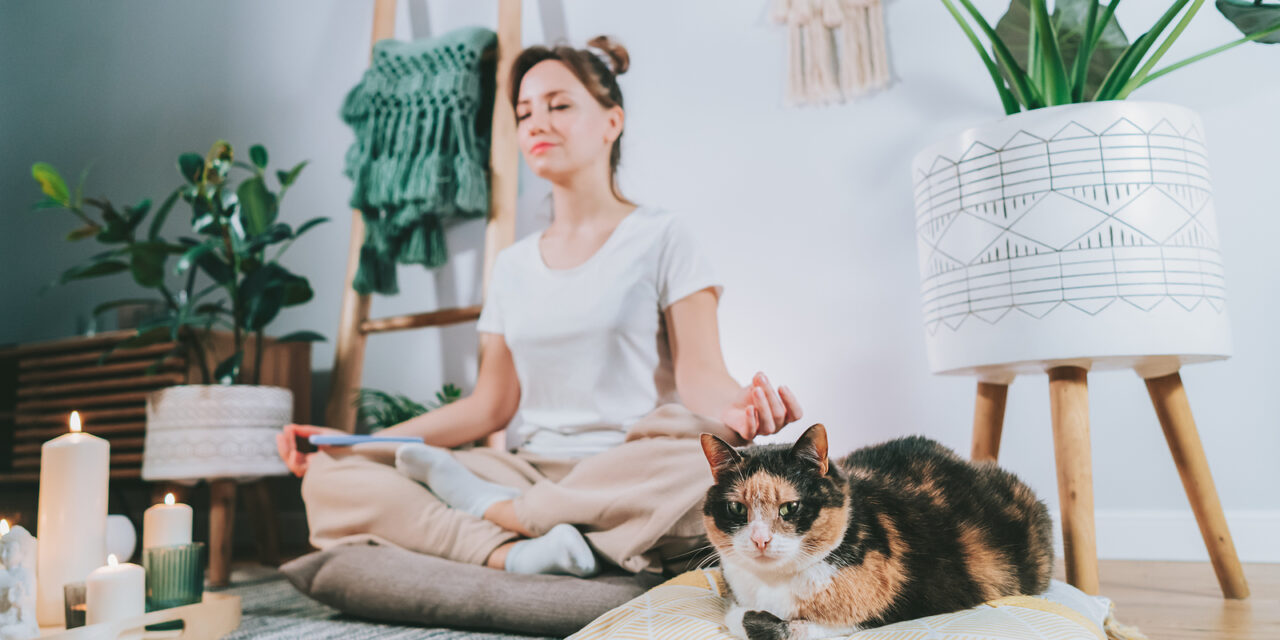 Verlaag stress na je werkdag: 5 tips!